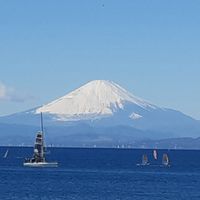 2025年度　関東実業団ヨット選手権大会