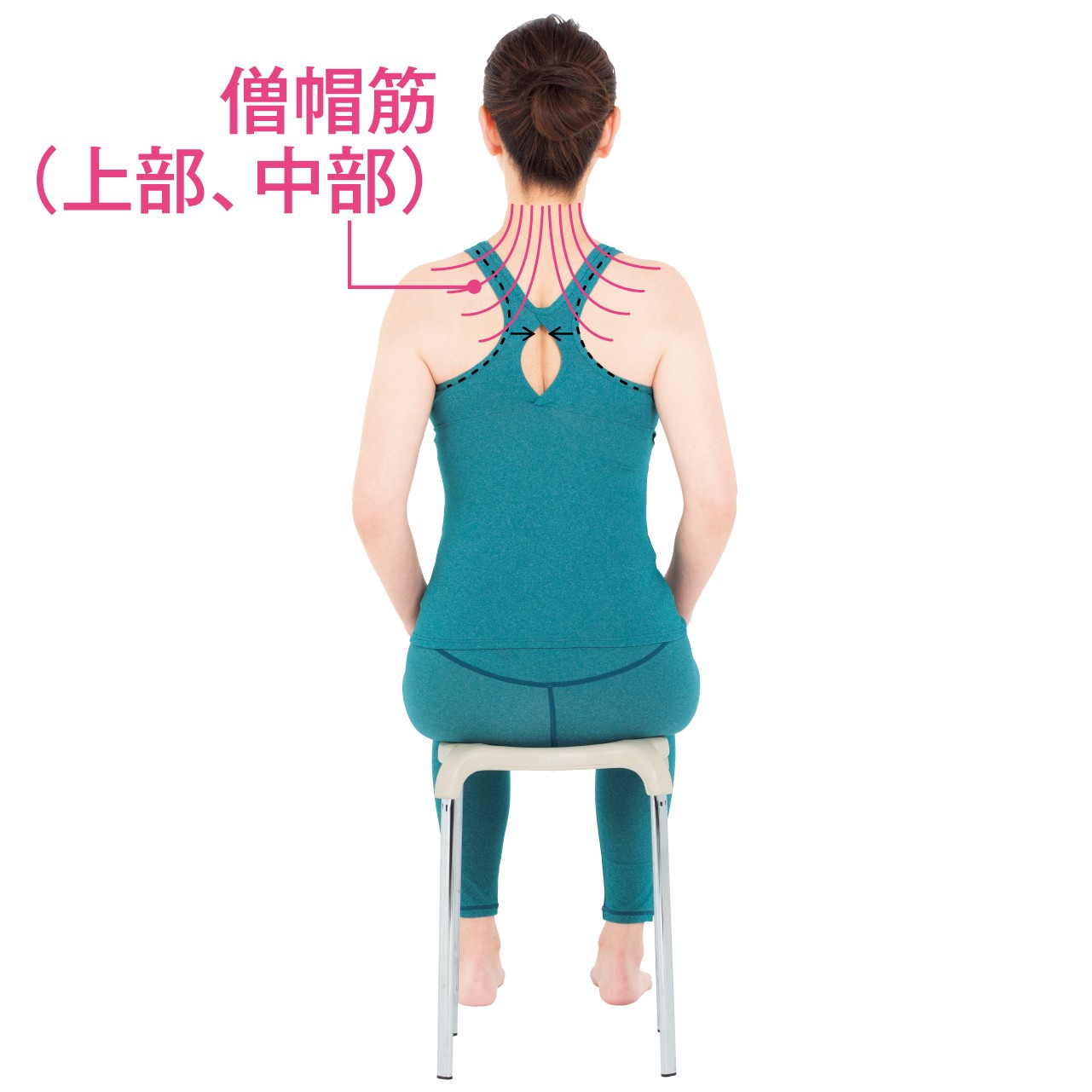 史上一番安い 肩甲骨ダイエット 脂肪を落として背中からスッキリ Www Hallo Tv