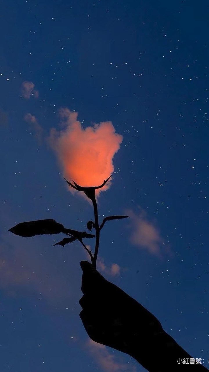 玫瑰星云