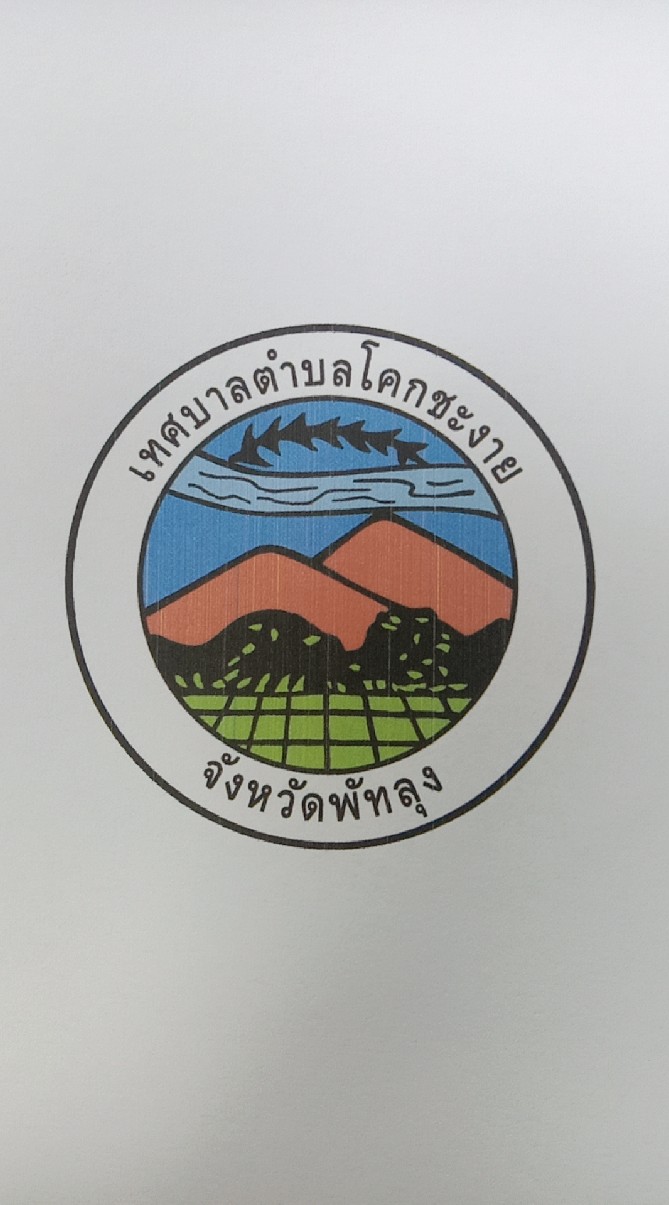 เทศบาลตำบลโคกชะงาย