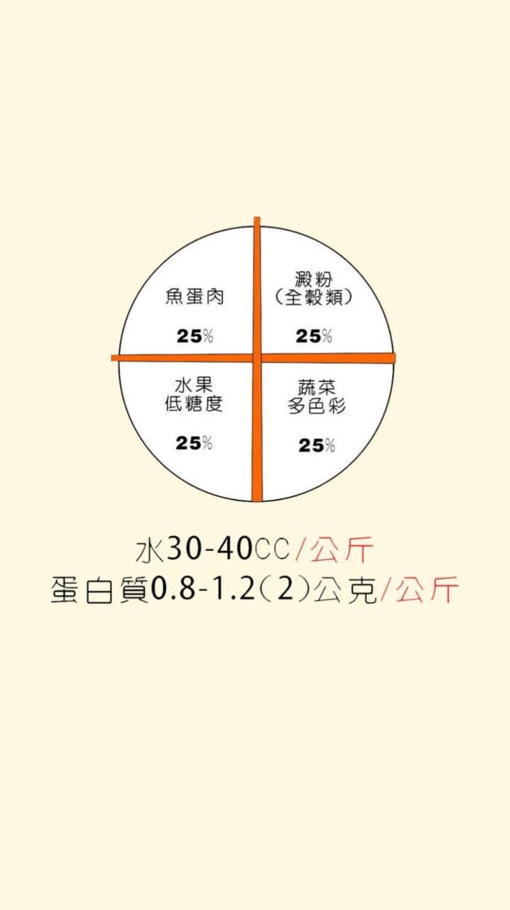 十字飲食法+運動減脂/建康資訊分享
