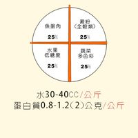 十字飲食法+運動減脂/建康資訊分享