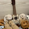 Jellycat台灣代購🇹🇼