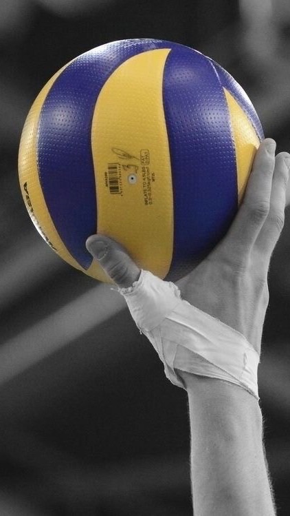 วอลเลย์บอล