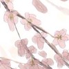 刀剣乱舞なりきり本丸