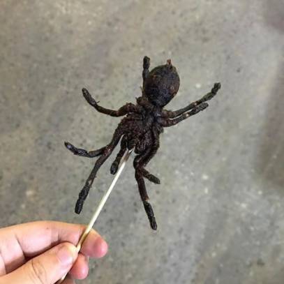 instagram/alison_lss