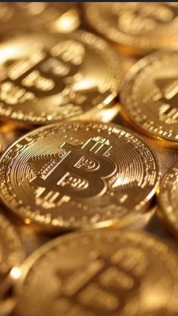 黃金外匯交流群指標
