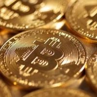 黃金外匯交流群指標