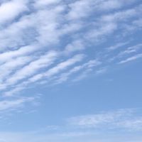 全台自由教練協會
