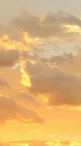 企画オプチャ🍀