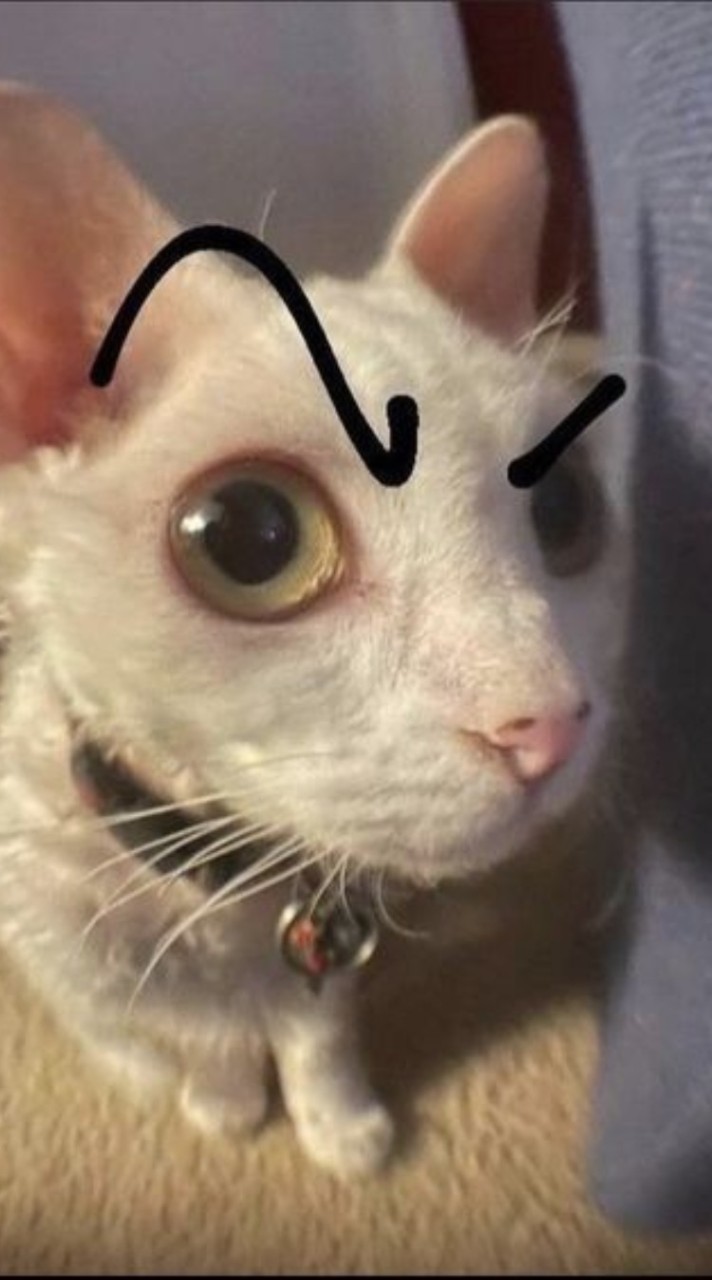 เล่นๆ🔺🔻