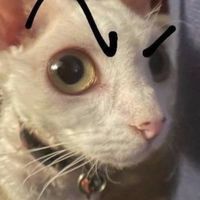 เล่นๆ🔺🔻