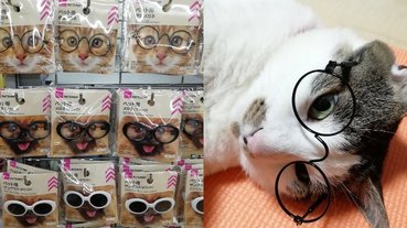顏值度飆高！日本大創推出「寵物用眼鏡」，貓咪一秒變身「俊美文青」萌翻眾人！