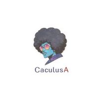 ฝึกทำ assign by CalculusA