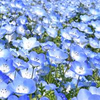 🌈新規オープン🦋60代70代80代🦋還暦、古希、喜寿。大人の癒しルーム🌷