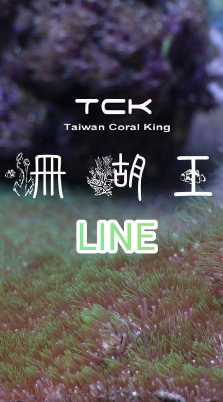珊瑚王&恩典海洋-珊瑚農場