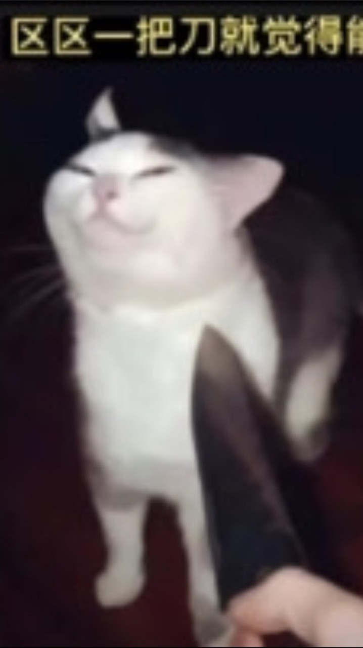 夜貓子