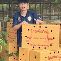 มังกรล้านนา ส.เสื้อสุภาพทีม💯