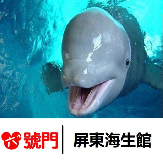 7-11，全家，萊爾富，滿299全天免運再送蝦幣 海生館全票:420（現場450元） (使用期限至2019/12/31) 現場票價： 1.全票：450元 2..優待票２５０元： 6歲(含)以上之學童(