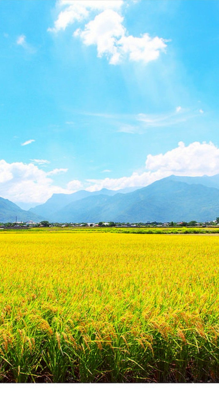 休閒農家樂