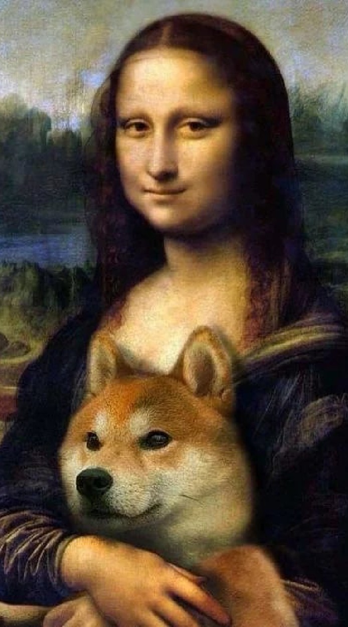 Doge狗狗台灣之家