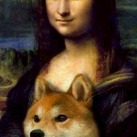 Doge狗狗台灣之家