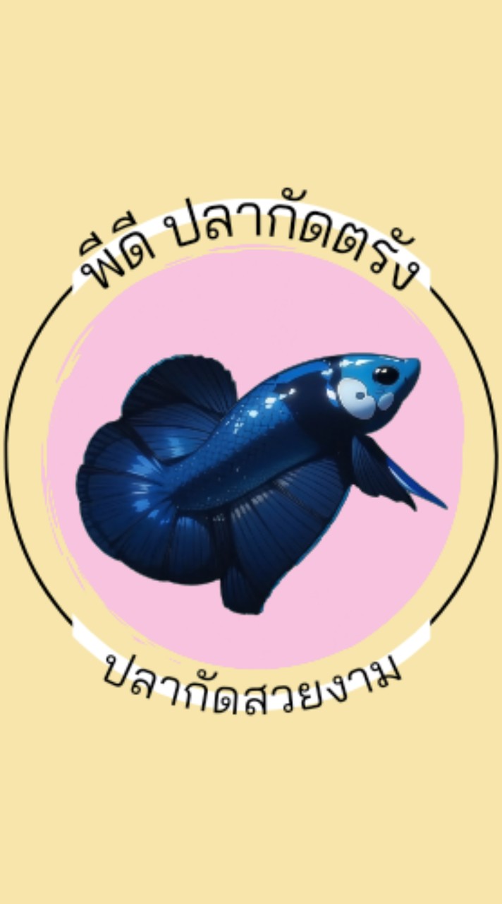 ปลากัดสวยงาม by.พีดี ปลากัดตรัง