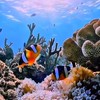 カラオケ昭和の仲間達💫募集中