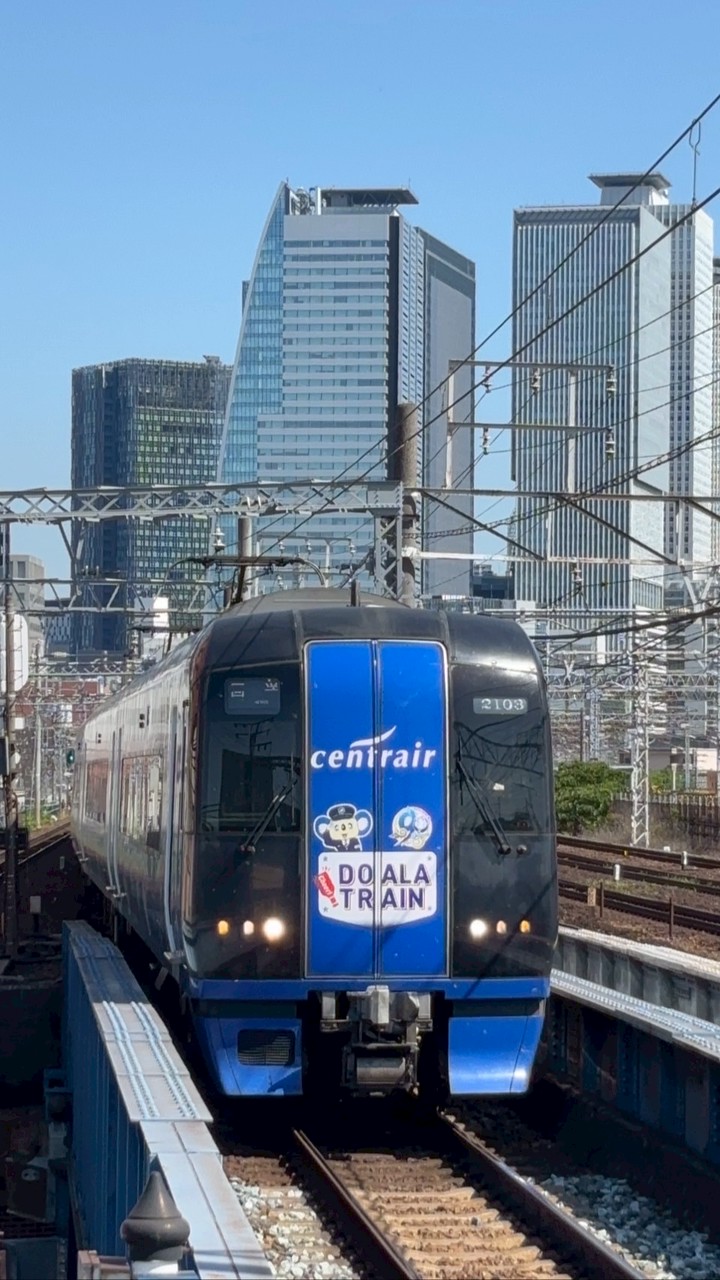 【50人限定】スジ公開・情報共有オプ