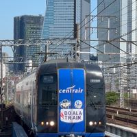 【50人限定】スジ公開・情報共有オプ