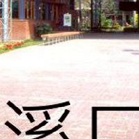我是溪口人