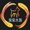 柴柴水族觀賞魚水晶蝦競標群