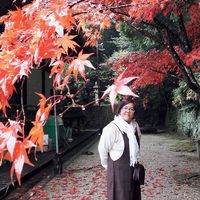 Awesome japan