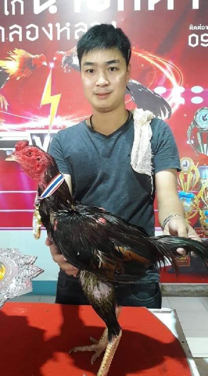 ซุ้มเด็กบางซื่อ 🐓