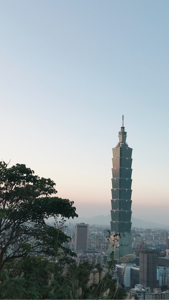 公職護理師