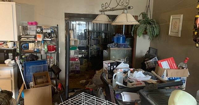 垃圾淹腳踝…3女童與「245隻動物」共住超噁屋　爸媽與小三都不管