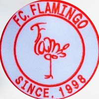 2025【新歓用】國學院大学FC FLAMINGO