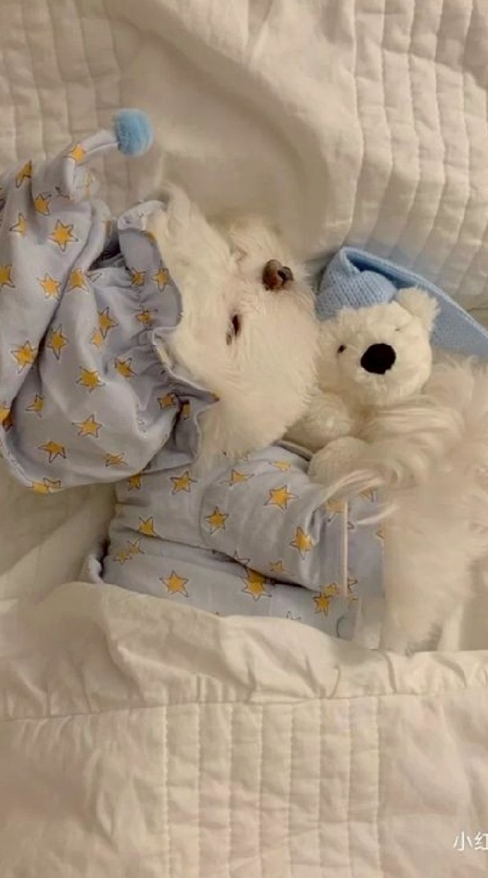 รับฟาร์ม 99 คืนคุยเล่นเรื่อง robloxเล่นเกม roblox