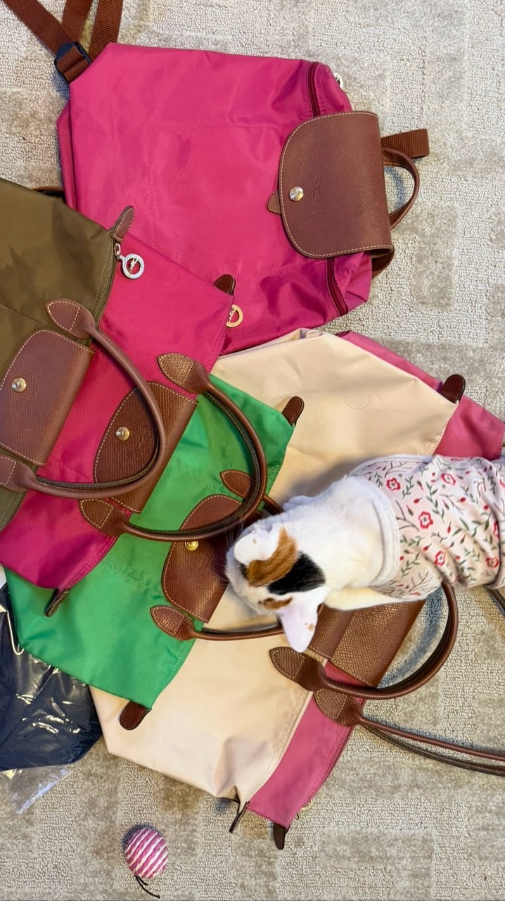 Longchamp by kung