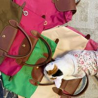 Longchamp by kung
