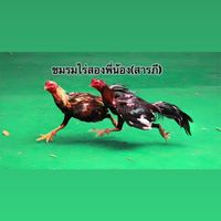 ชมรมไร่สองพี่น้อง(สารภี)