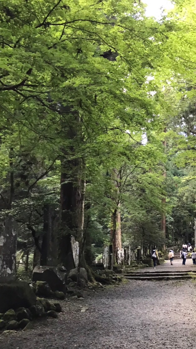 《神奈川県》アウトドア部🏕️