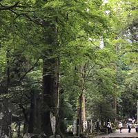 《神奈川県》アウトドア部🏕️