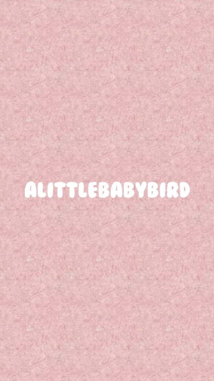 🥨alittlebabybird-SEVENTEEN相關代購