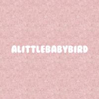 🥨alittlebabybird-SEVENTEEN相關代購