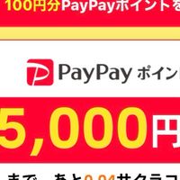 pay pay配布あり　TikTok TikTok lite temu SHEIN 協力隊