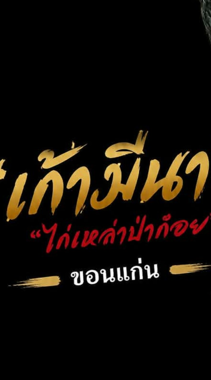 เก้ามีนา"ไก่เหล่าป่าก๋อย" จ.ขอนแก่น