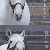 全緩ハント也‼️