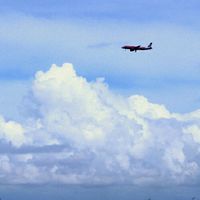 旅先で撮った写真を見せ合う 海外旅行/国内旅行