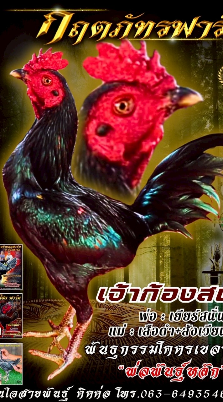 กฤตภัทร ฟาร์ม